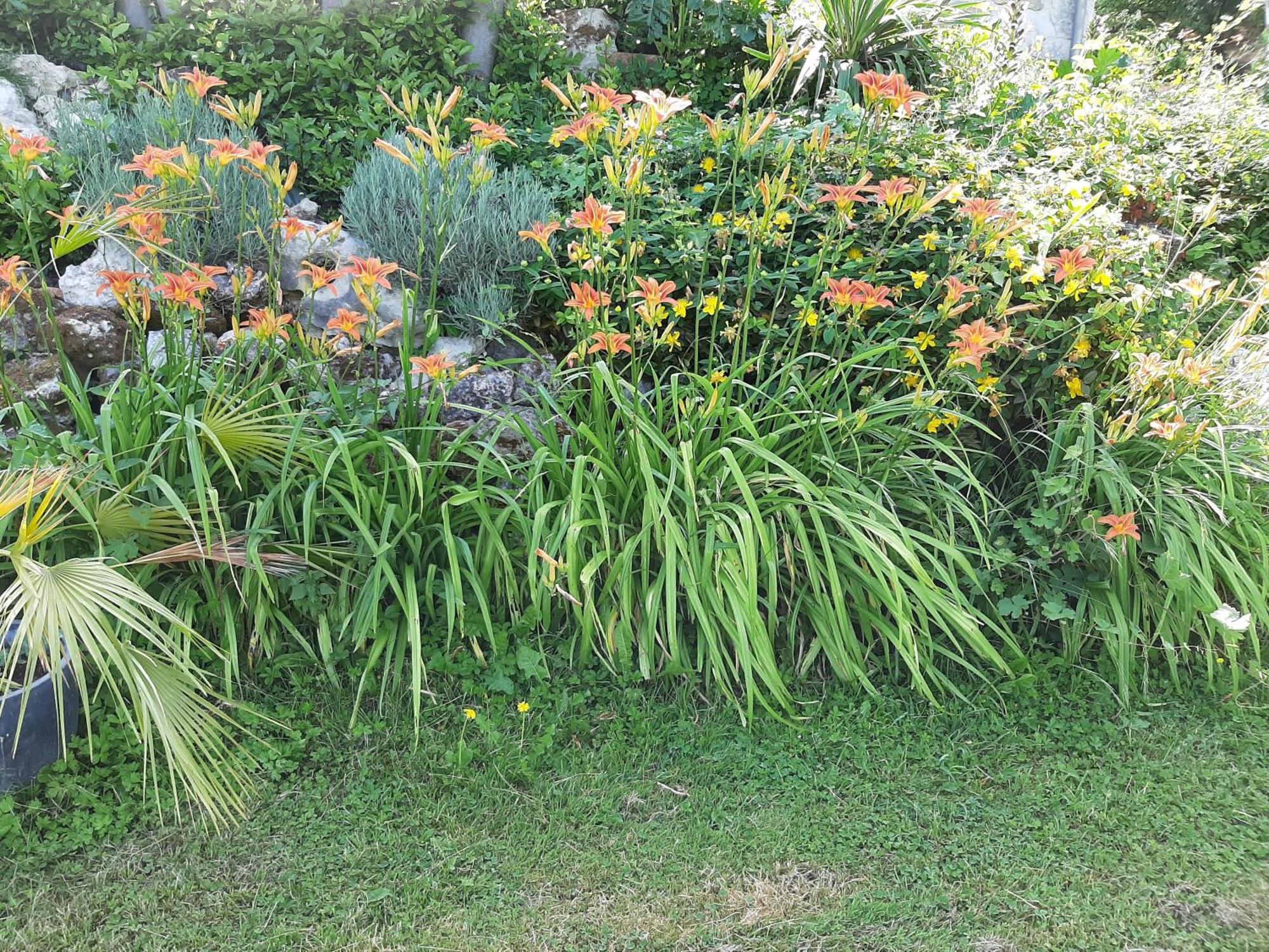 Maison La Thebaide Castera-Lectourois Bagian luar foto